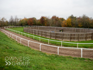 BP011124-7 - Ben Pauling Stable Visit